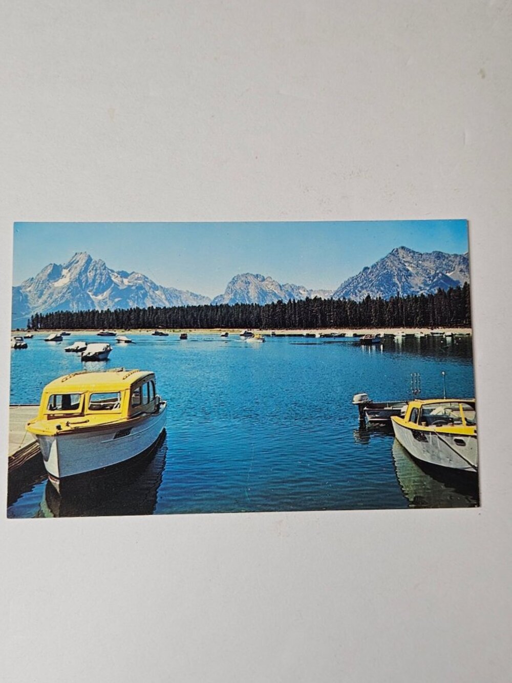 Colter Bay Grand Teton National Park Wyoming Postcard
